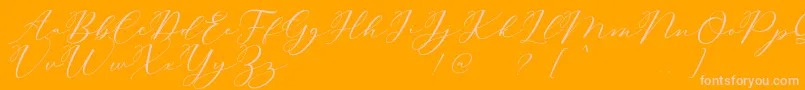 Carliste Script Demo Font – Pink Fonts on Orange Background