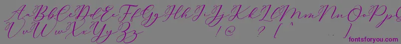 Carliste Script Demo Font – Purple Fonts on Gray Background
