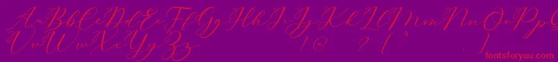 Carliste Script Demo-Schriftart – Rote Schriften auf violettem Hintergrund