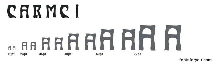 CARMCI   (122847) Font Sizes