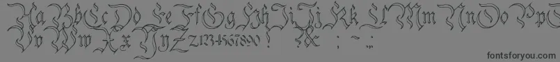 フォントCharterwellNo3 – 黒い文字の灰色の背景