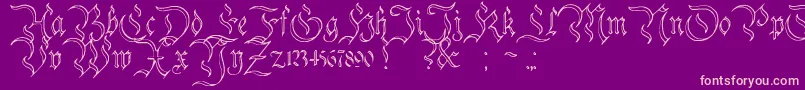 CharterwellNo3 Font – Pink Fonts on Purple Background