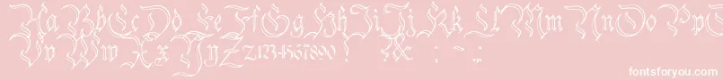 CharterwellNo3-Schriftart – Weiße Schriften auf rosa Hintergrund