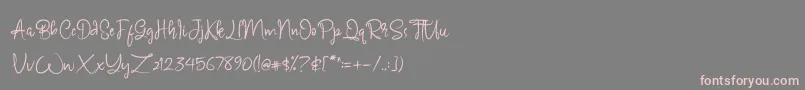 Carmillos Font – Pink Fonts on Gray Background