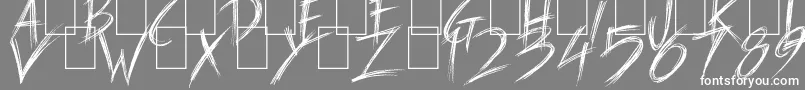 Carnaval de Mai Font – White Fonts on Gray Background