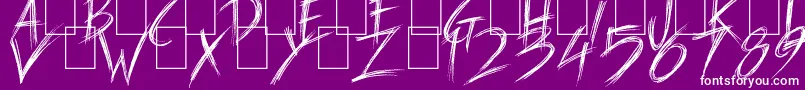 Carnaval de Mai Font – White Fonts on Purple Background