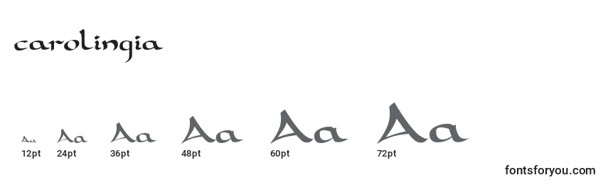 Размеры шрифта Carolingia (122863)
