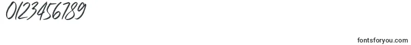 Carolissa Font – Fonts for Numbers and Digits