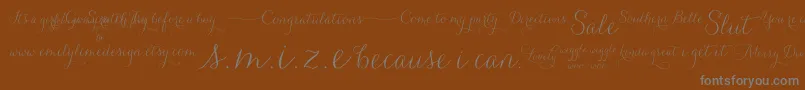 Carolyna   Words Font – Gray Fonts on Brown Background