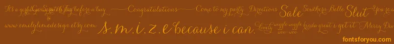 Carolyna   Words Font – Orange Fonts on Brown Background