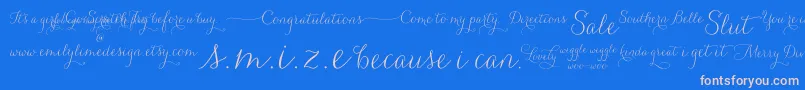 Carolyna   Words Font – Pink Fonts on Blue Background