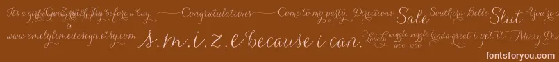 Carolyna   Words Font – Pink Fonts on Brown Background