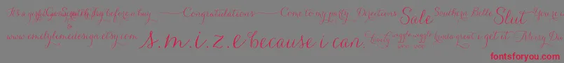 Carolyna   Words-Schriftart – Rote Schriften auf grauem Hintergrund