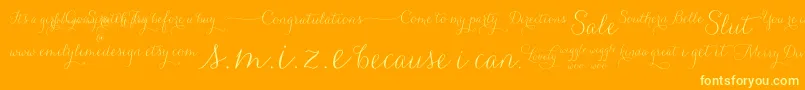Carolyna   Words Font – Yellow Fonts on Orange Background