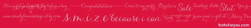 Carolyna   Words Font – White Fonts on Red Background