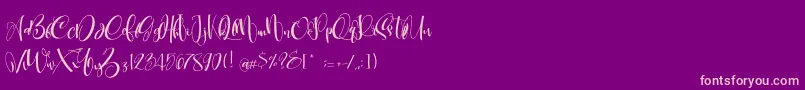 CarolynePersonalUse Font – Pink Fonts on Purple Background