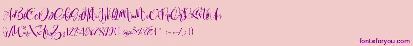 CarolynePersonalUse Font – Purple Fonts on Pink Background