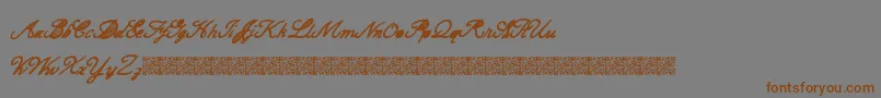 CarteBlanche Font – Brown Fonts on Gray Background