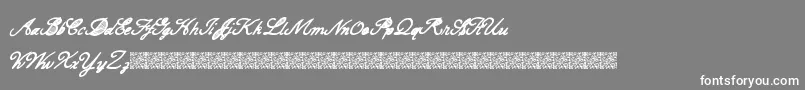 CarteBlanche-Schriftart – Weiße Schriften auf grauem Hintergrund