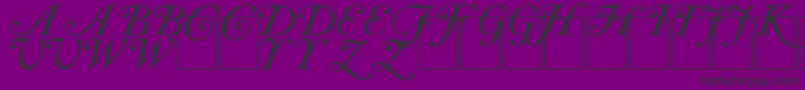 CAS INIT Font – Black Fonts on Purple Background