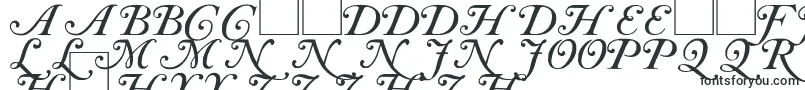 フォントCAS INIT – にゃんじゃフォント