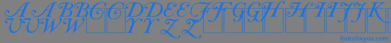 フォントCAS INIT – 灰色の背景に青い文字