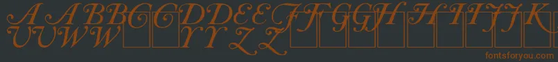 CAS INIT Font – Brown Fonts on Black Background