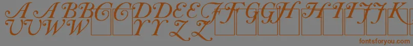 CAS INIT Font – Brown Fonts on Gray Background