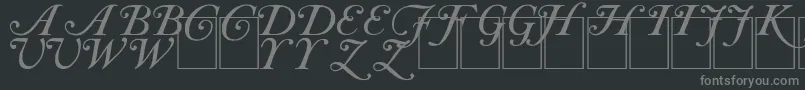 CAS INIT Font – Gray Fonts on Black Background