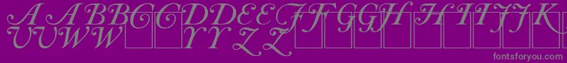 CAS INIT Font – Gray Fonts on Purple Background
