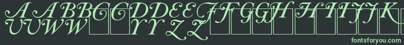 CAS INIT Font – Green Fonts on Black Background