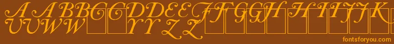 CAS INIT Font – Orange Fonts on Brown Background