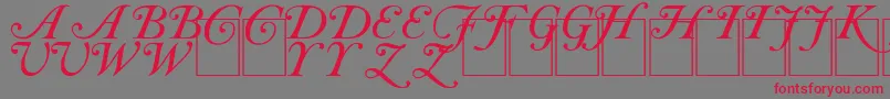 CAS INIT Font – Red Fonts on Gray Background
