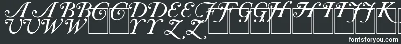 フォントCAS INIT – 白い文字