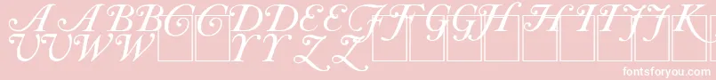 CAS INIT Font – White Fonts on Pink Background