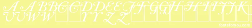 CAS INIT Font – White Fonts on Yellow Background