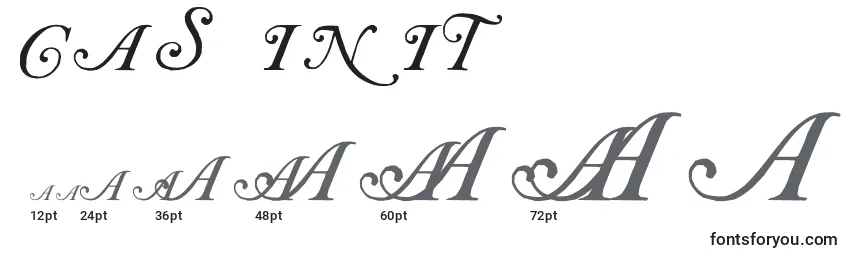 CAS INIT Font Sizes