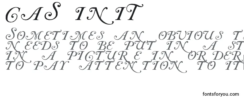 CAS INIT Font