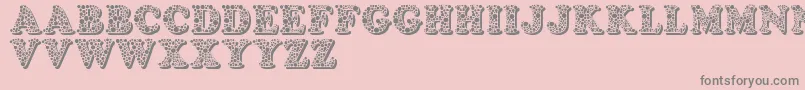 Bemydor Font – Gray Fonts on Pink Background