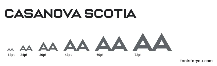 Размеры шрифта Casanova Scotia