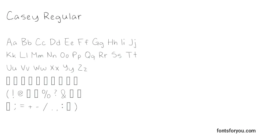 Шрифт Casey Regular – алфавит, цифры, специальные символы