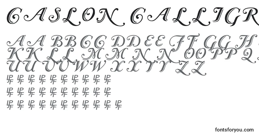 Czcionka Caslon Calligraphic – alfabet, cyfry, specjalne znaki