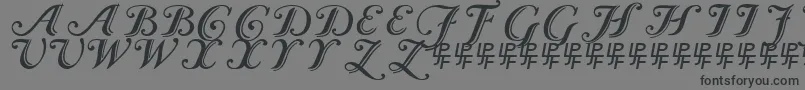 Czcionka Caslon Calligraphic – czarne czcionki na szarym tle