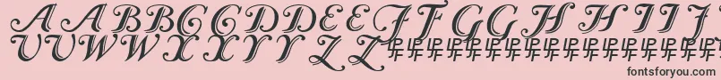 Caslon Calligraphic-fontti – mustat fontit vaaleanpunaisella taustalla