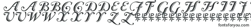 Caslon Calligraphic-Schriftart – Schriften für Google Chrome