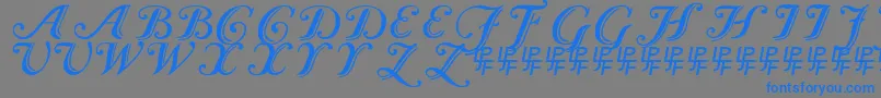 Шрифт Caslon Calligraphic – синие шрифты на сером фоне