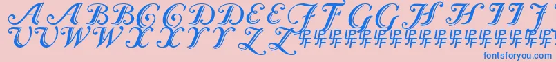 Czcionka Caslon Calligraphic – niebieskie czcionki na różowym tle