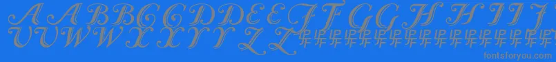 fuente Caslon Calligraphic – Fuentes Grises Sobre Fondo Azul