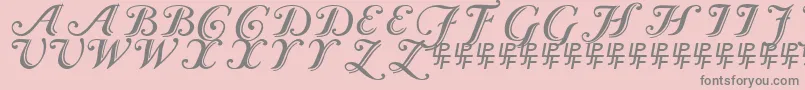 Czcionka Caslon Calligraphic – szare czcionki na różowym tle