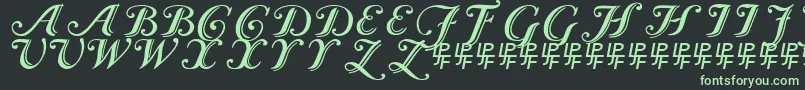 Caslon Calligraphic Font – Green Fonts on Black Background